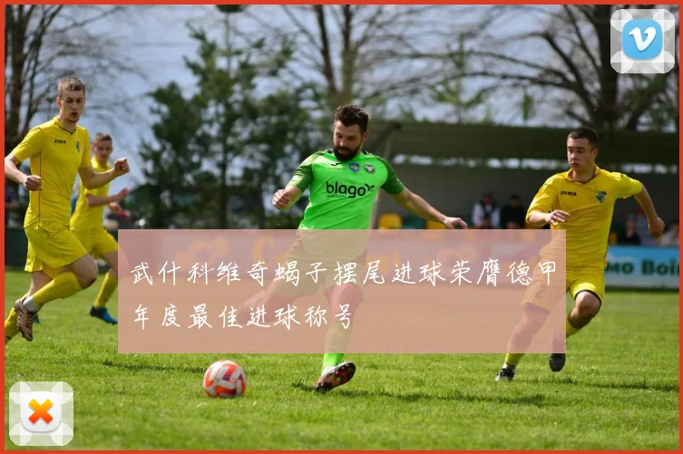 武什科维奇蝎子摆尾进球荣膺德甲年度最佳进球称号