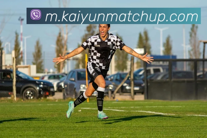 开云体育APP 封面图